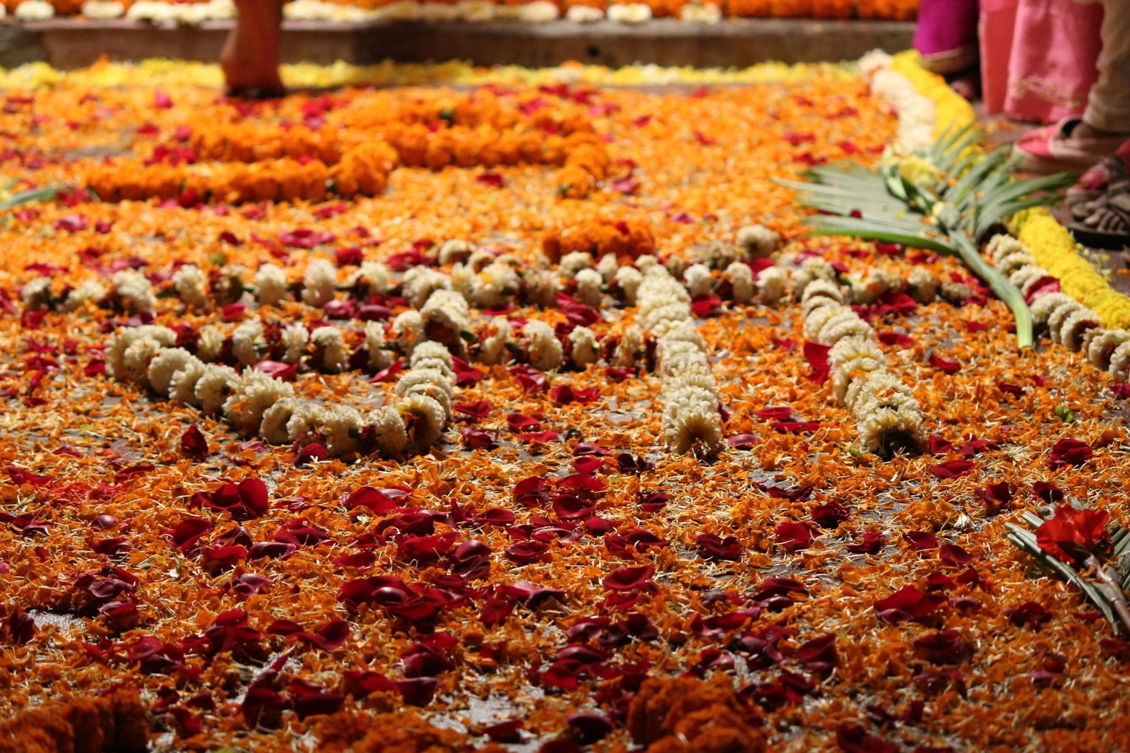 Natural vie of Maa written in Hindi letters in India